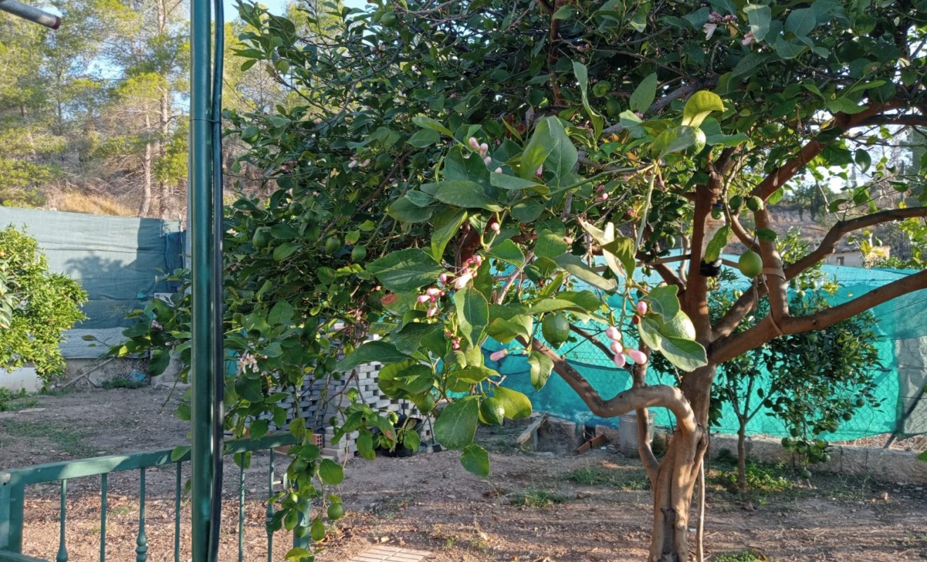 Revente - Casa - La Nucía