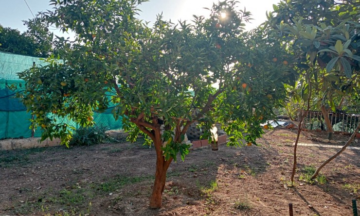 Revente - Casa - La Nucía