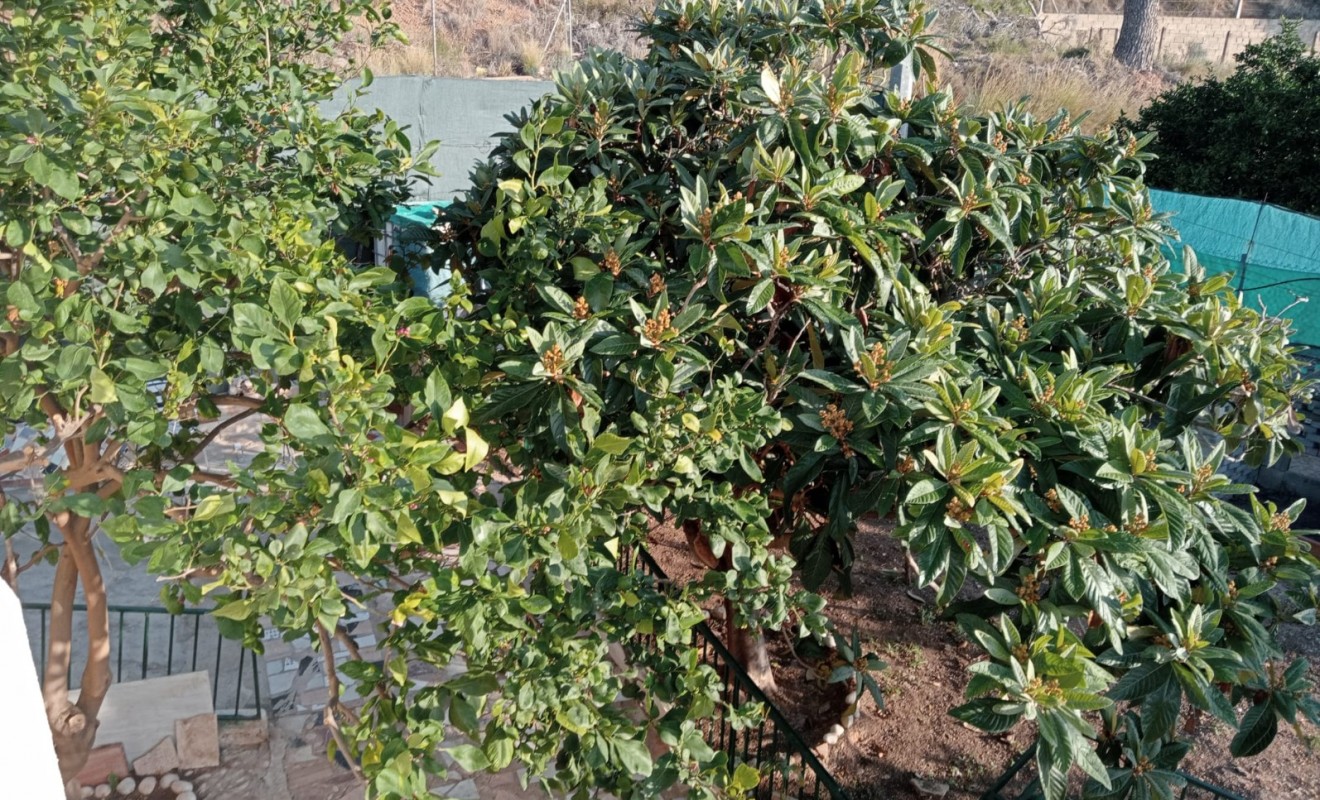 Revente - Casa - La Nucía