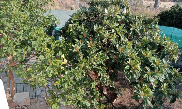 Revente - Casa - La Nucía