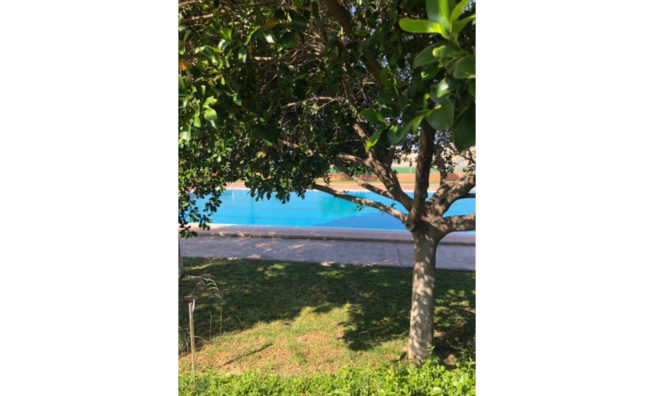 Revente - semi_detached_house - San Miguel de Salinas - Costa Blanca Sur