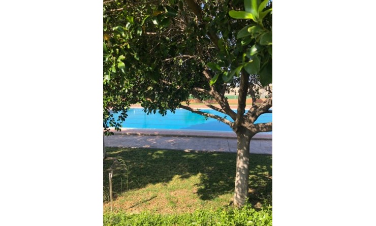 Revente - semi_detached_house - San Miguel de Salinas - Costa Blanca Sur