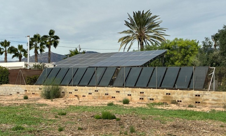 Sale - Detached villa - Crevillente