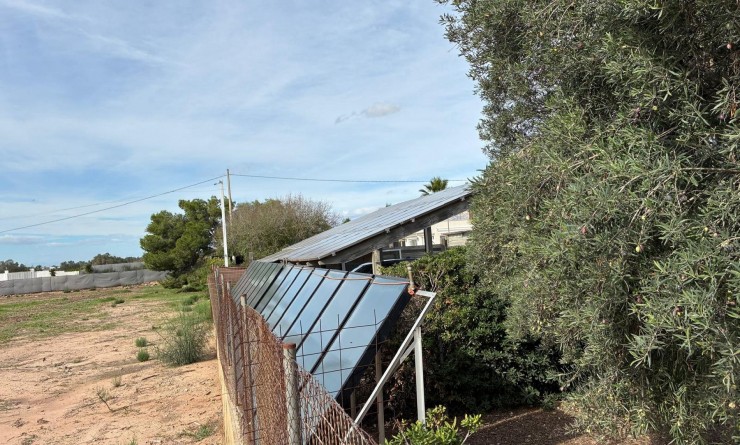 Sale - Detached villa - Crevillente