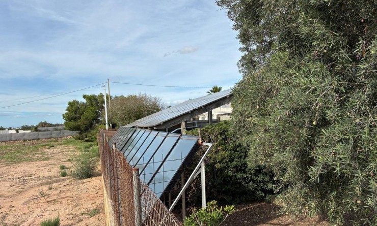 Sale - Detached villa - Crevillente