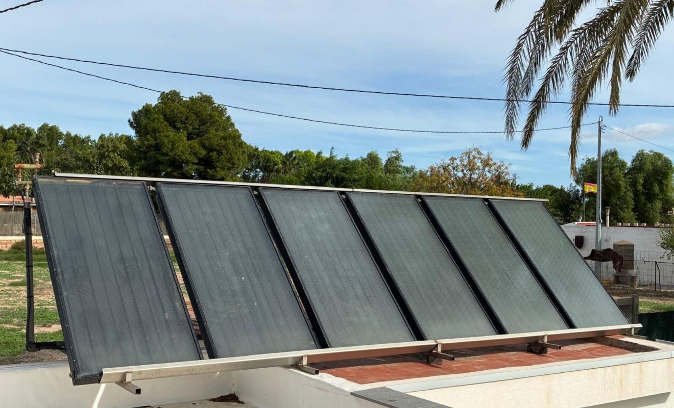 Sale - Detached villa - Crevillente