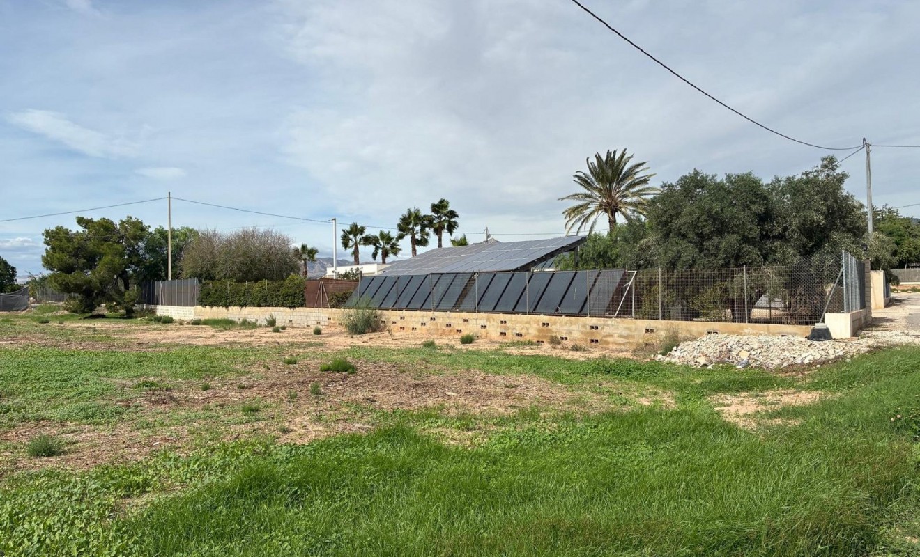 Sale - Detached villa - Crevillente