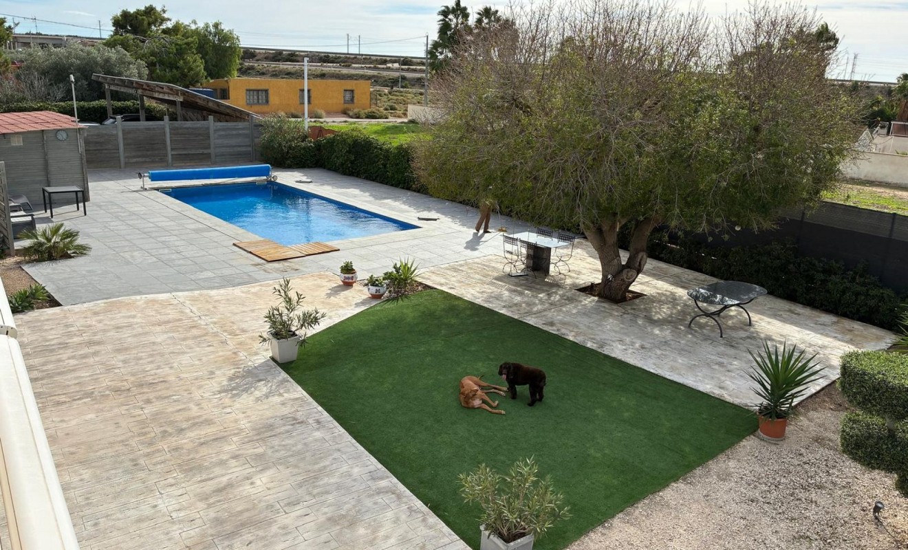 Sale - Detached villa - Crevillente