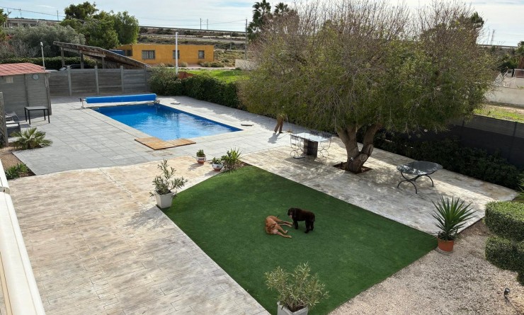 Sale - Detached villa - Crevillente