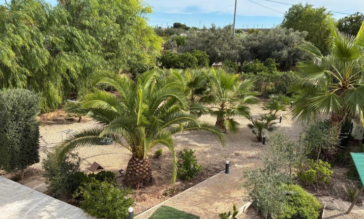 Sale - Detached villa - Crevillente