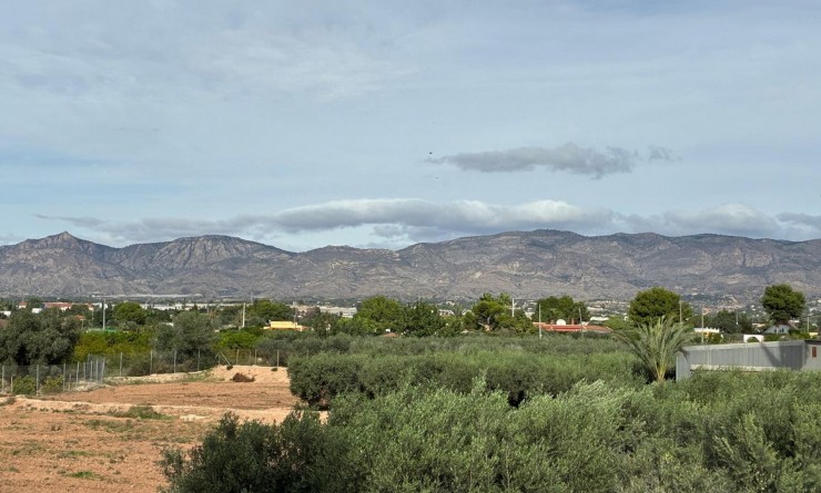 Sale - Detached villa - Crevillente