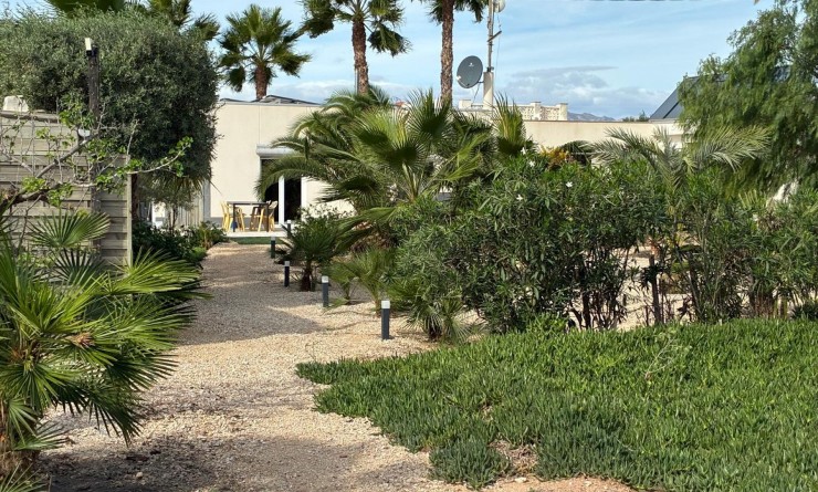 Sale - Detached villa - Crevillente