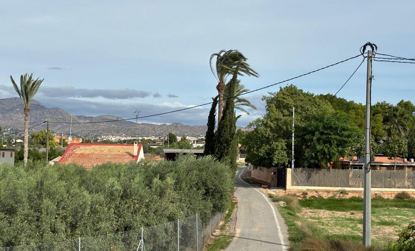 Sale - Detached villa - Crevillente