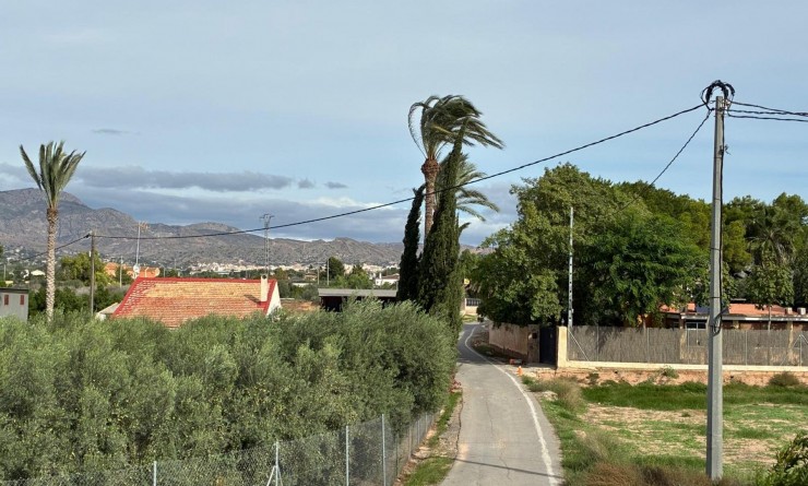 Sale - Detached villa - Crevillente