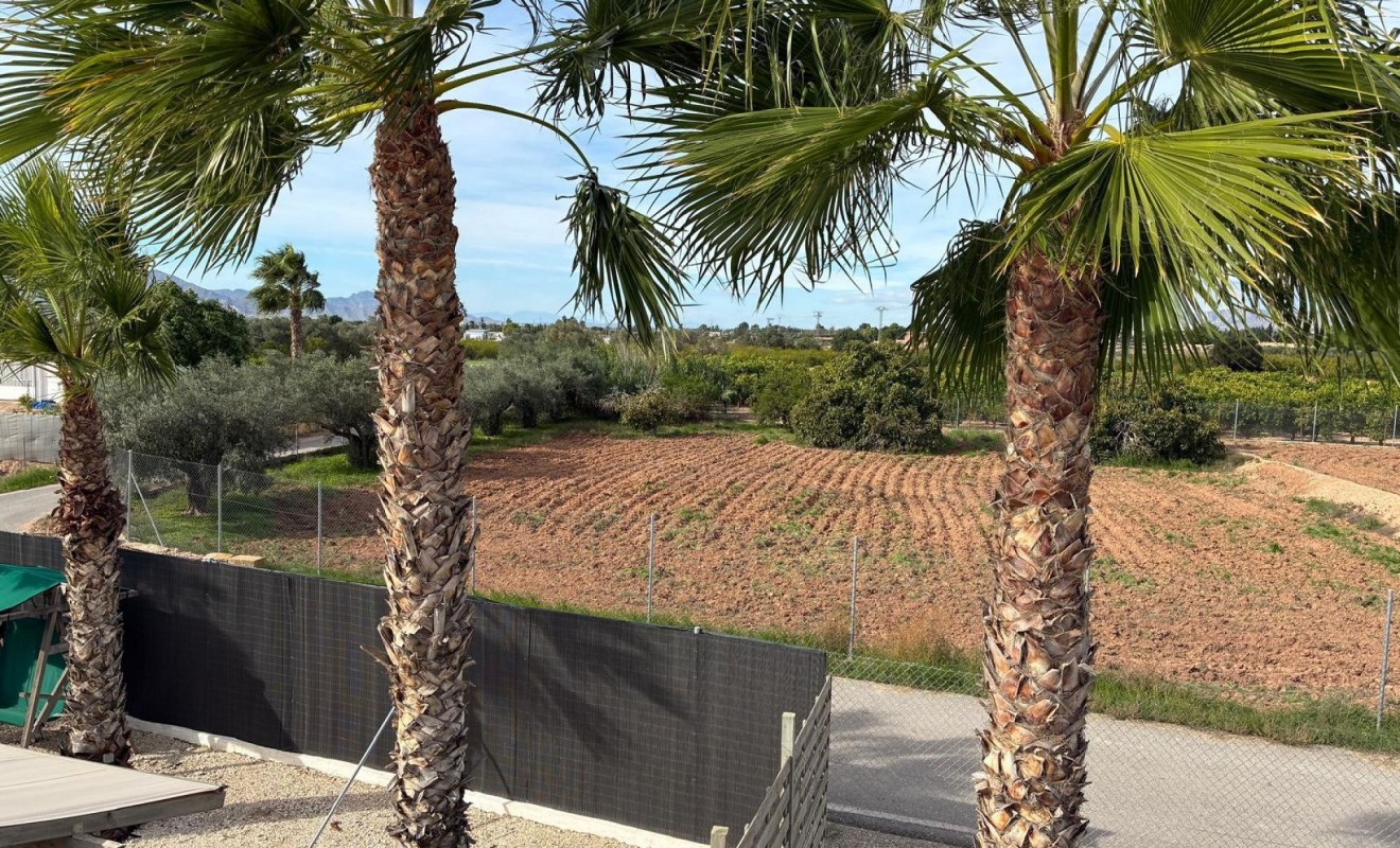 Sale - Detached villa - Crevillente