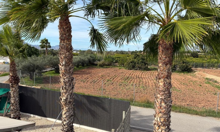 Sale - Detached villa - Crevillente