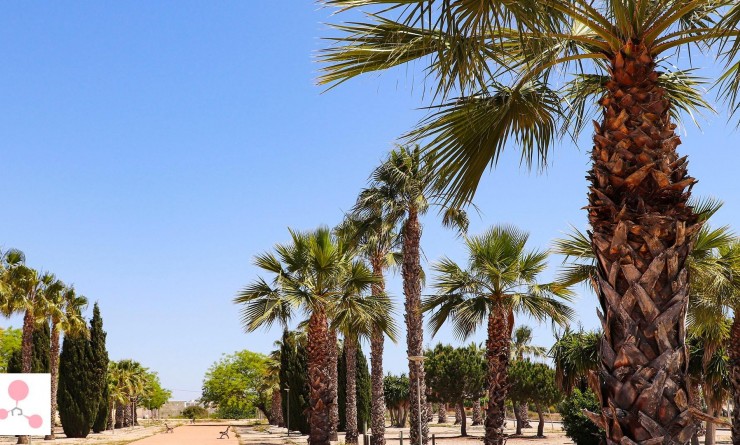 Nieuwbouw woningen - Villa - San Fulgencio - La Escuera