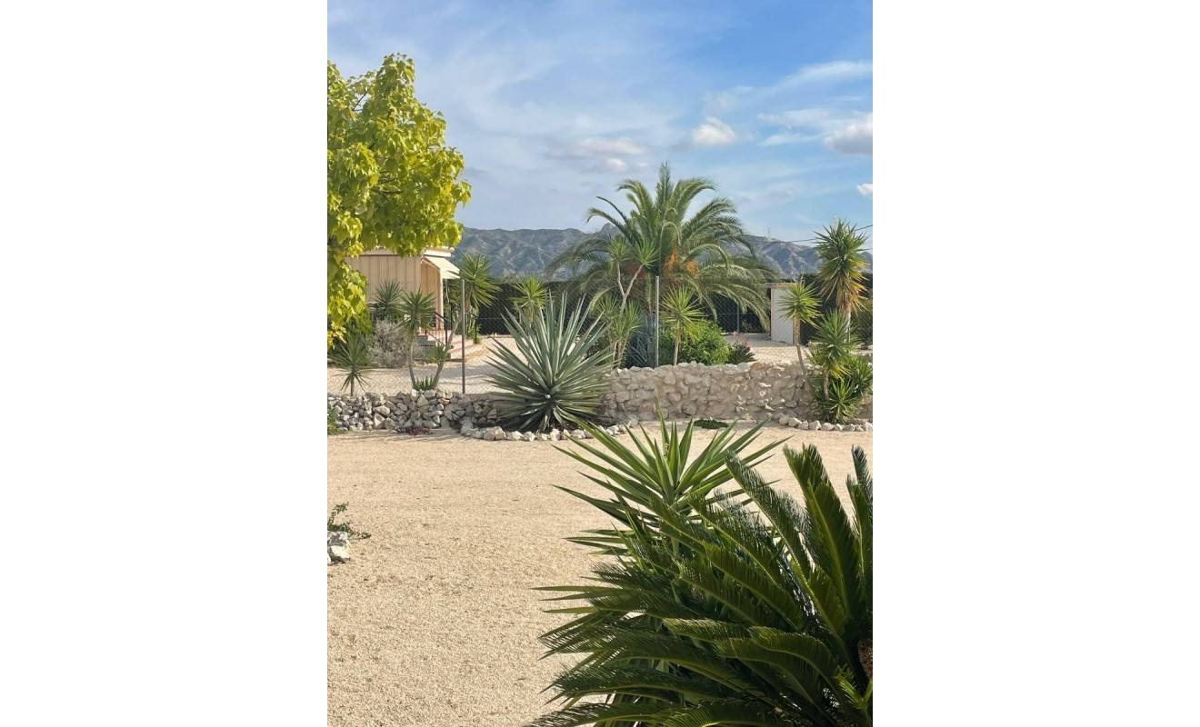 Wederverkoop - Finca / Country Property - Abanilla