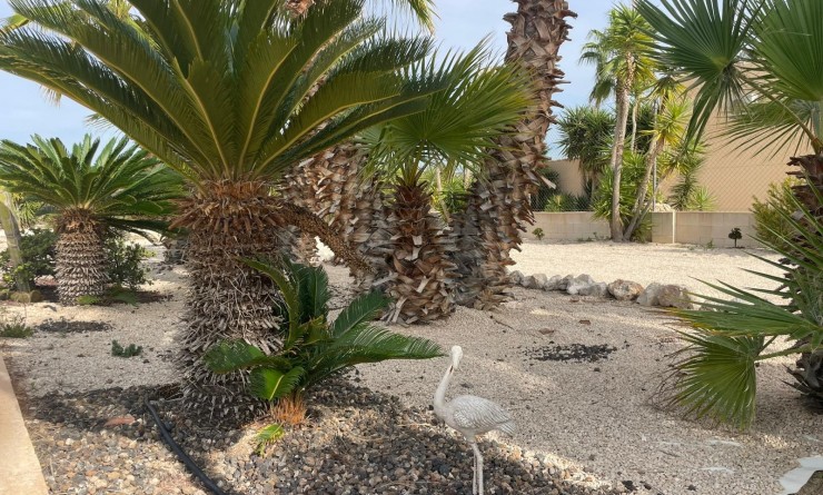 Wederverkoop - Finca / Country Property - Abanilla