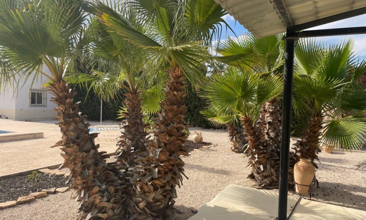 Wederverkoop - Finca / Country Property - Abanilla