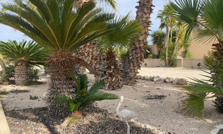 Wederverkoop - Finca / Country Property - Abanilla