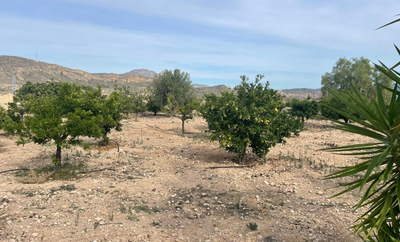 Wederverkoop - Finca / Country Property - Abanilla