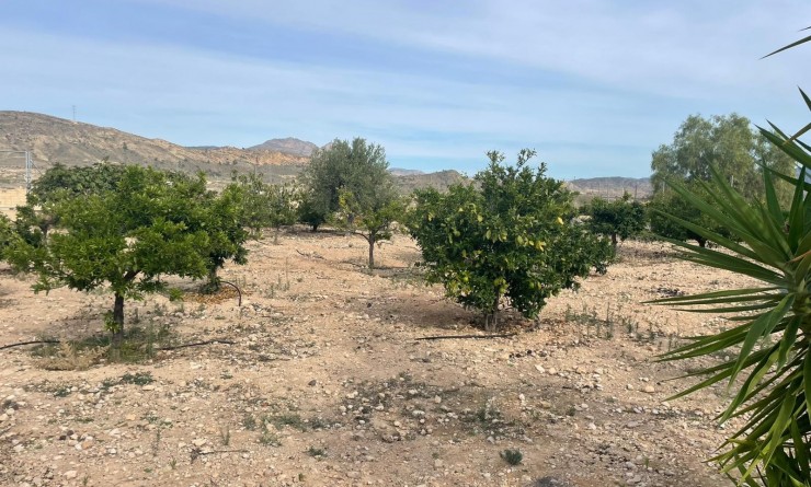 Wederverkoop - Finca / Country Property - Abanilla