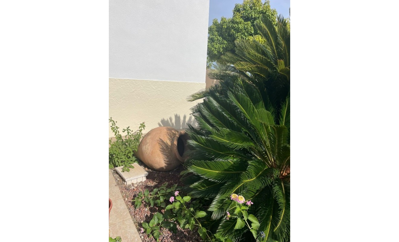 Wederverkoop - Finca / Country Property - Abanilla