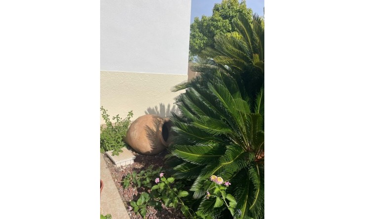 Wederverkoop - Finca / Country Property - Abanilla