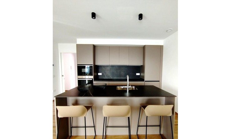 Nieuwbouw woningen - Villa - Polop - PAU 1