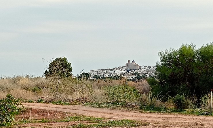 Sale - rustic plot - Altea - Olla Altea