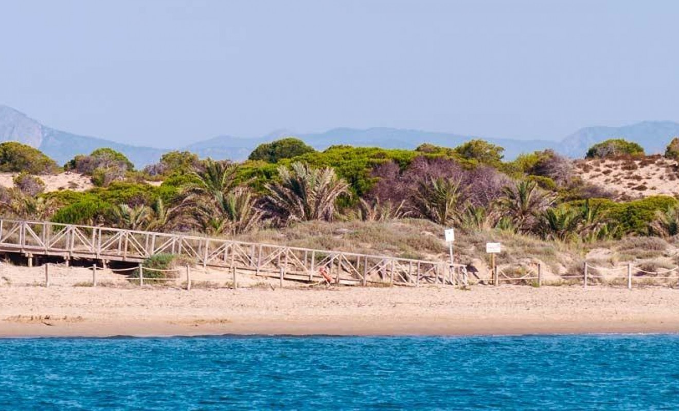 Nouvelle construction - Appartement - Guardamar del Segura - Pueblo