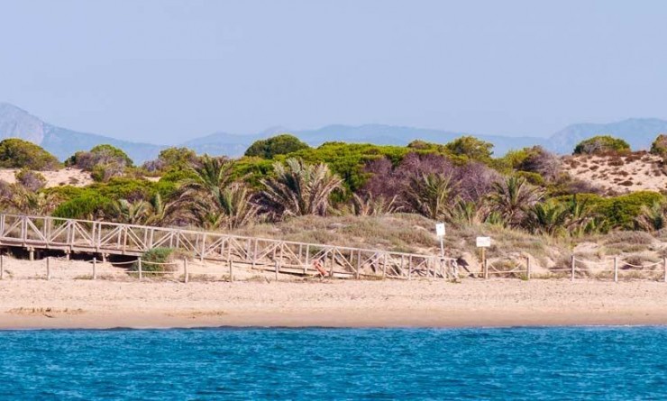 Nieuwbouw woningen - Appartement - Guardamar del Segura - Pueblo