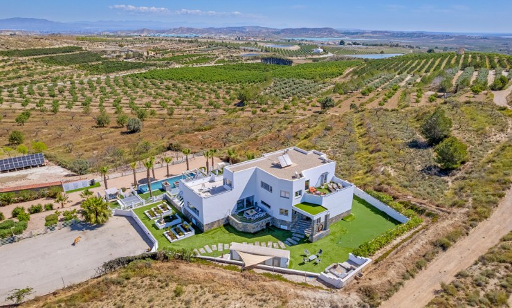 Sale - Villa - Torremendo