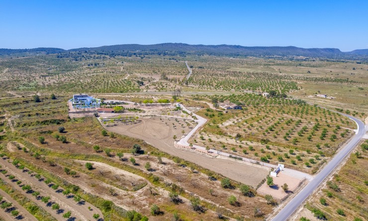 Sale - Villa - Torremendo