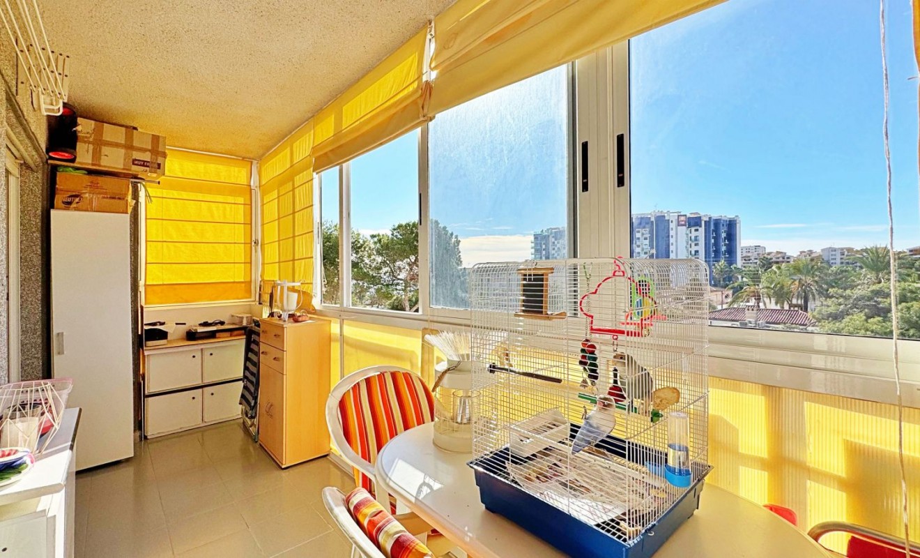 Sale - Apartment - Torrevieja - Rocio del mar