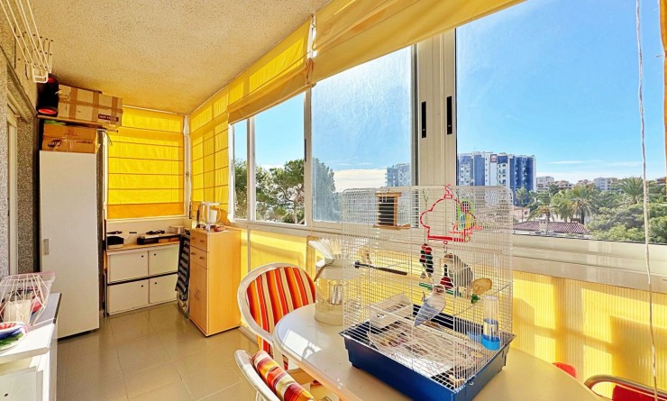 Sale - Apartment - Torrevieja - Rocio del mar