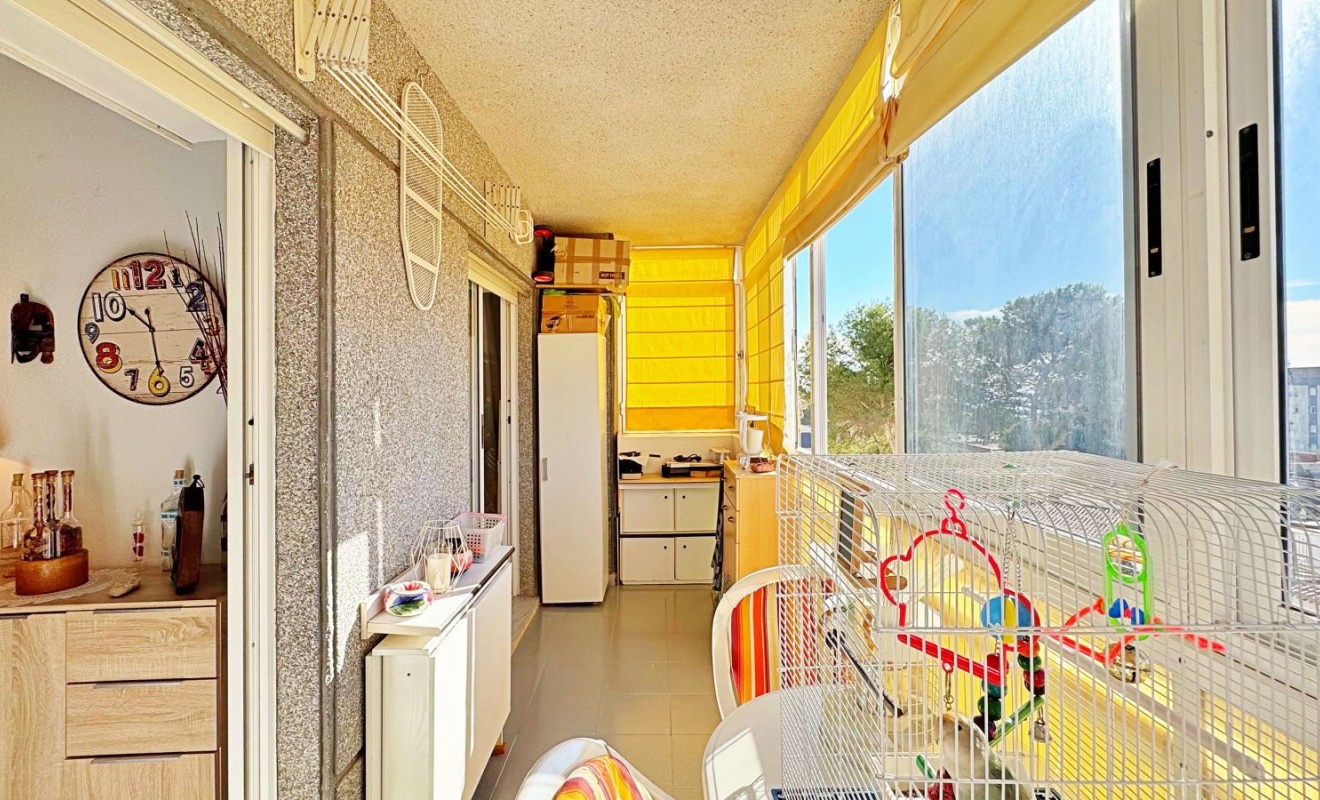 Sale - Apartment - Torrevieja - Rocio del mar