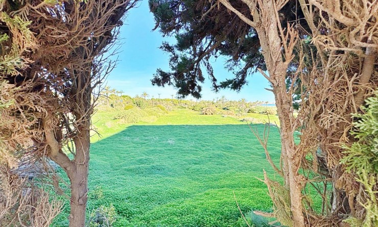 Sale - Apartment - Torrevieja - Rocio del mar