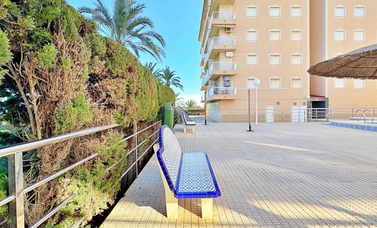 Sale - Apartment - Torrevieja - Rocio del mar