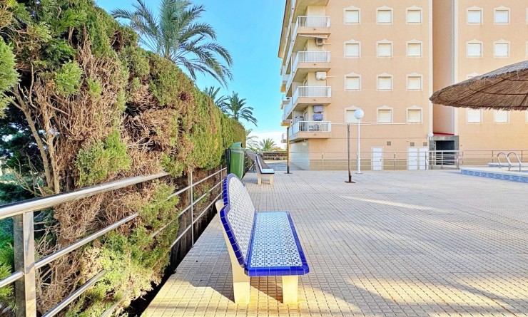 Sale - Apartment - Torrevieja - Rocio del mar