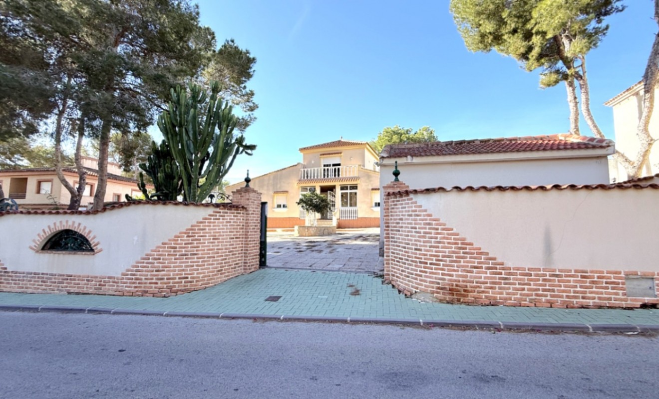 Revente - detached_house - Pilar de la Horadada - Costa Blanca Sur