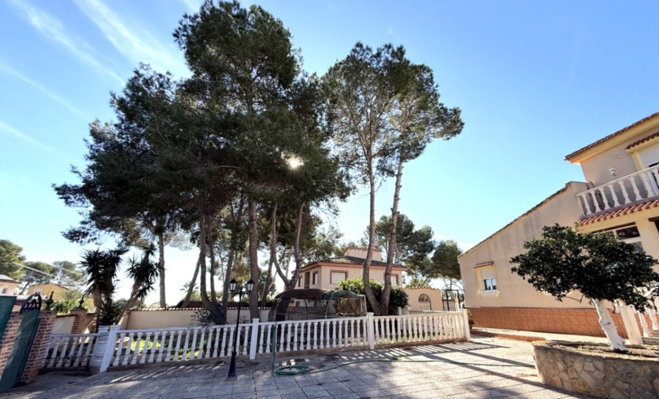 Revente - detached_house - Pilar de la Horadada - Costa Blanca Sur