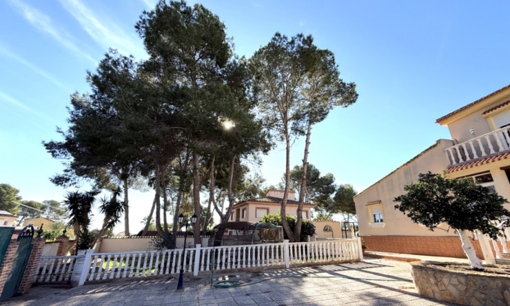 Revente - detached_house - Pilar de la Horadada - Costa Blanca Sur