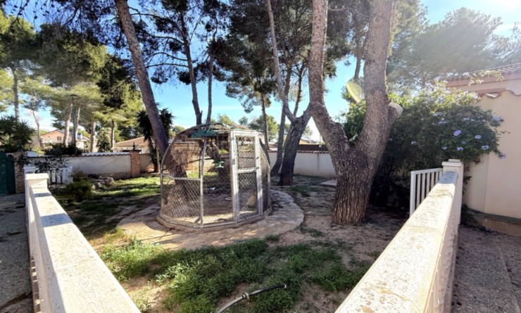 Revente - detached_house - Pilar de la Horadada - Costa Blanca Sur