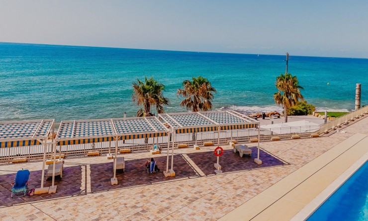 Wederverkoop - Apartamento - Torrevieja - Playa del Cura