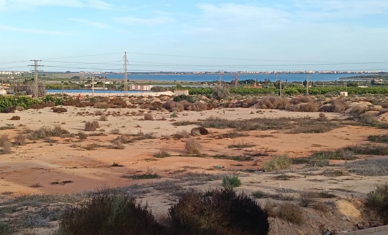 Sale - House - Detached Villa (4) - Los Montesinos - La herrada