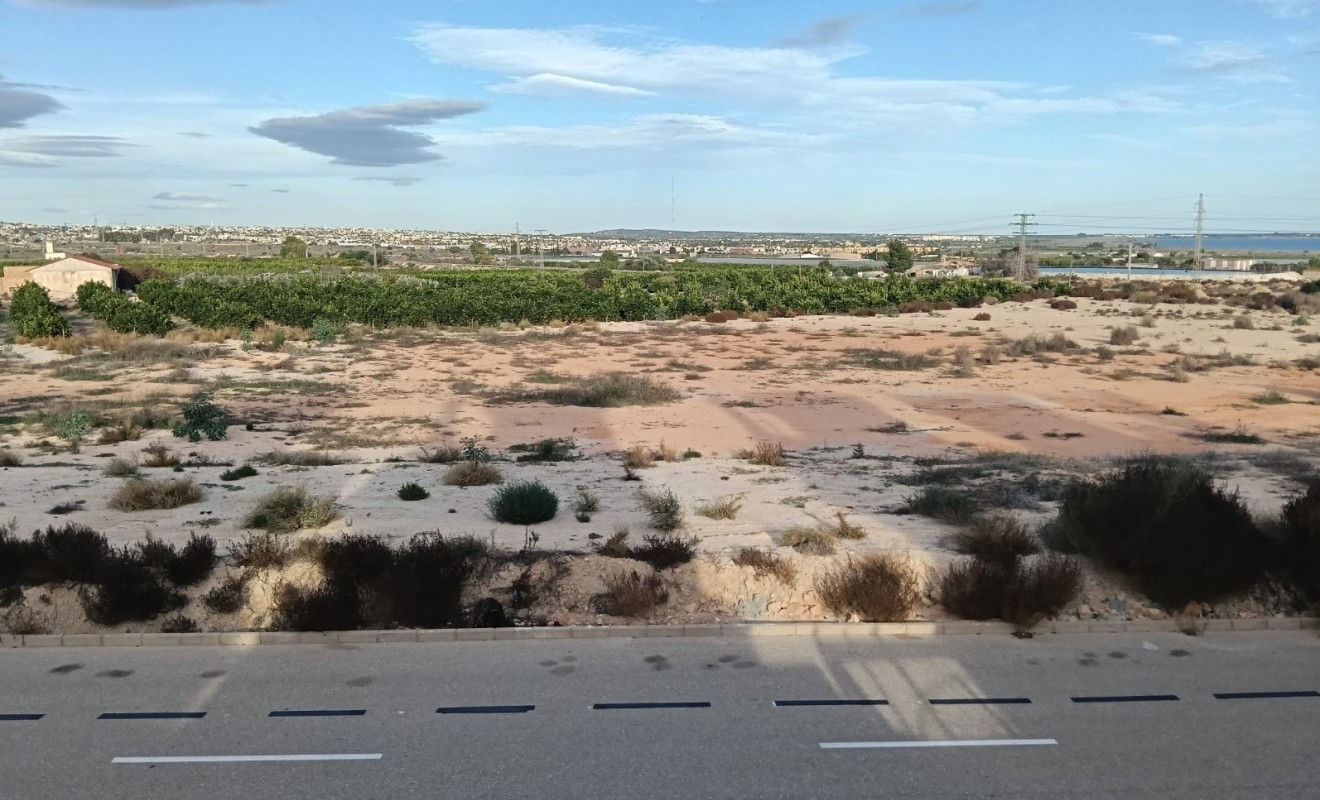 Sale - House - Detached Villa (4) - Los Montesinos - La herrada