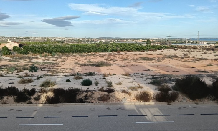 Sale - House - Detached Villa (4) - Los Montesinos - La herrada