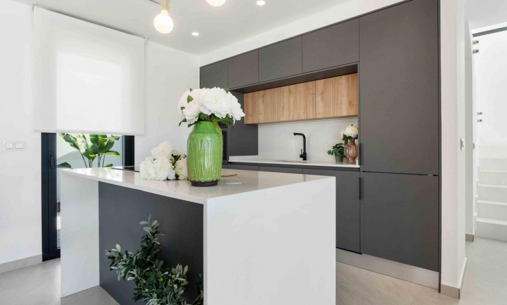 Nieuwbouw woningen - Villa - Rojales - Benimar